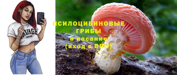 2c-b Протвино