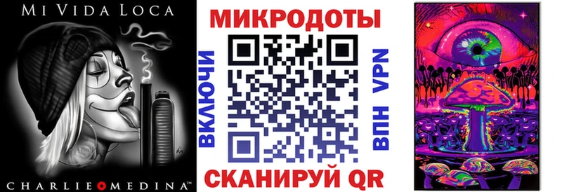 блэк спрут как зайти  Серафимович  Галлюциногенные грибы Psilocybe 